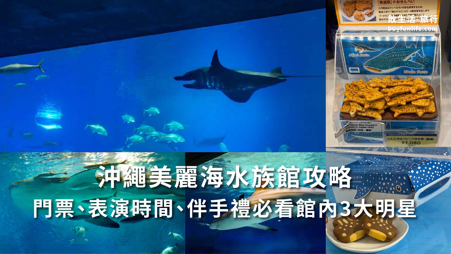 沖繩美麗海水族館要開車2小時？三種參觀方案＋門票、交通與表演時間全攻略