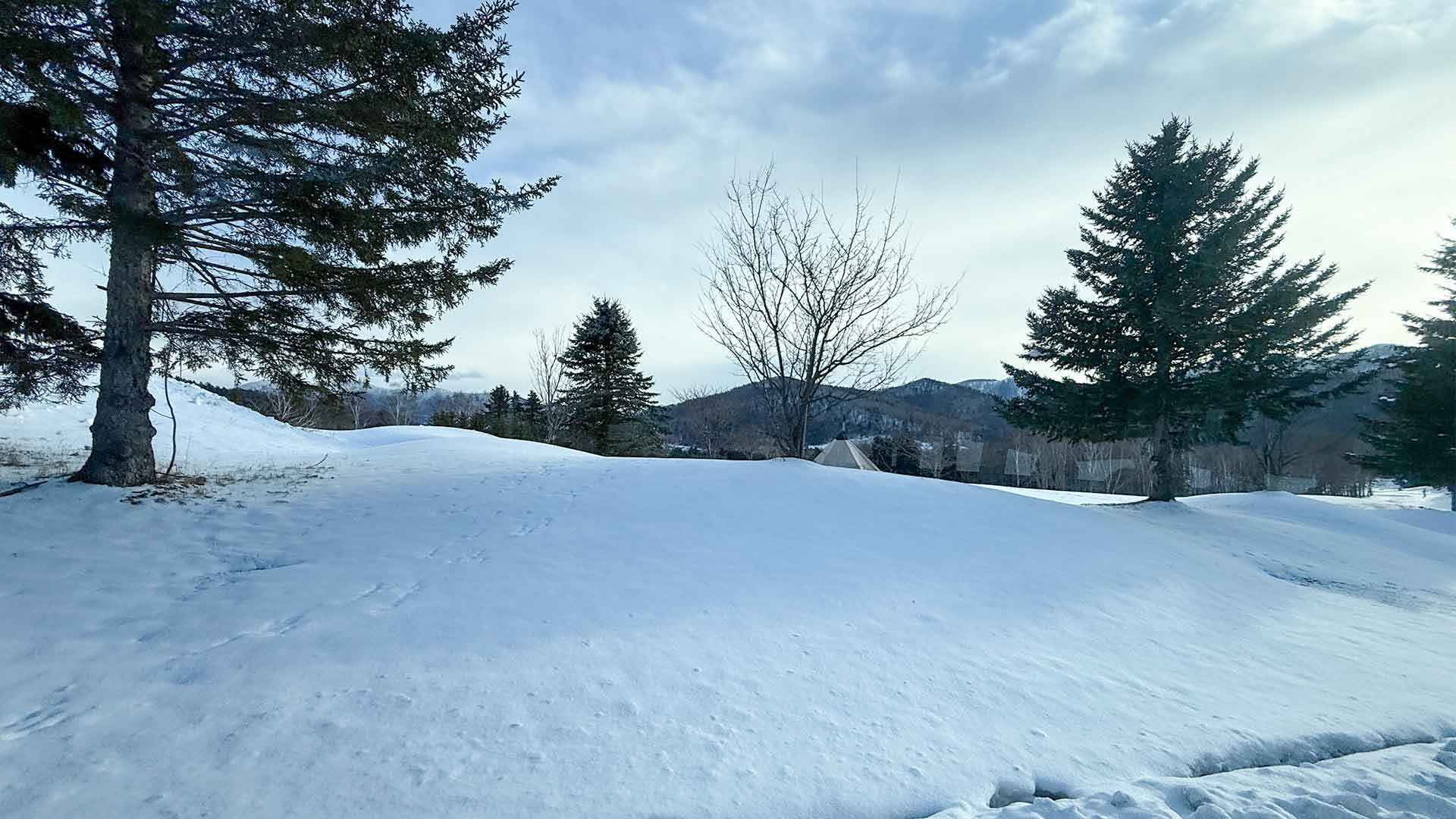 2026北海道下雪月份、最佳滑雪時間！雪況查詢網站 | 11月到4月省錢指南 | 北海道滑雪新手指南2