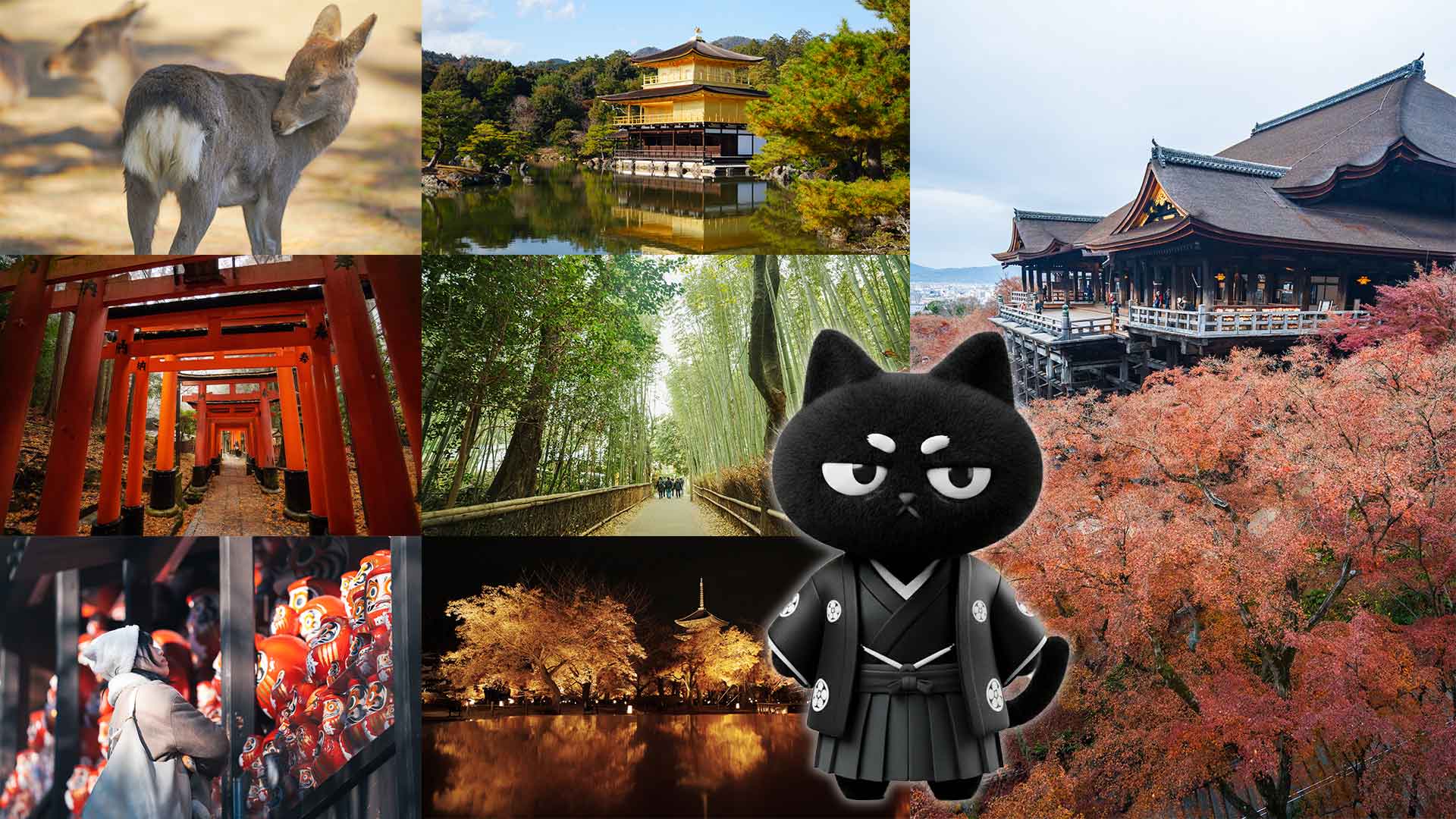 🍁2026 大阪京都自由行｜9天8夜不預約餐廳的 P 人獨旅行程 | 大阪京都獨旅攻略6
